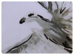 Biela holubica ~ White dove